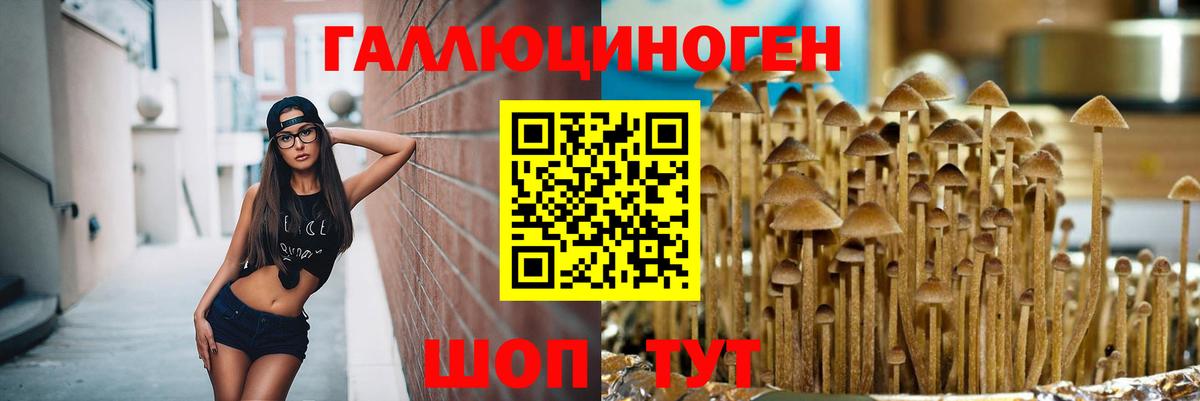 Псилоцибиновые грибы ЛСД  Галлюциногенные грибы ЛСД  Минеральные Воды  Вход с VPN 