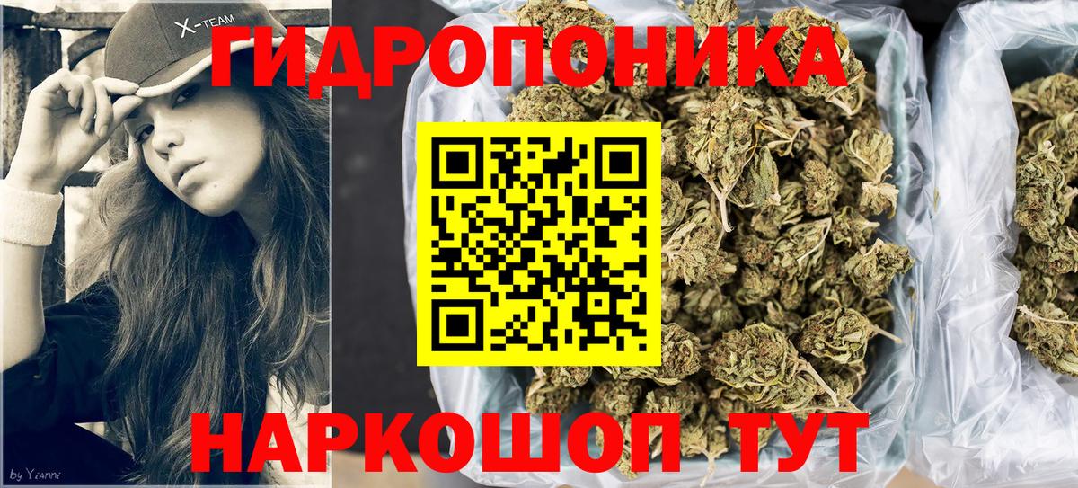 Шишки марихуана индика Минеральные Воды